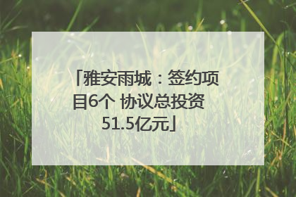 雅安雨城：签约项目6个 协议总投资51.5亿元